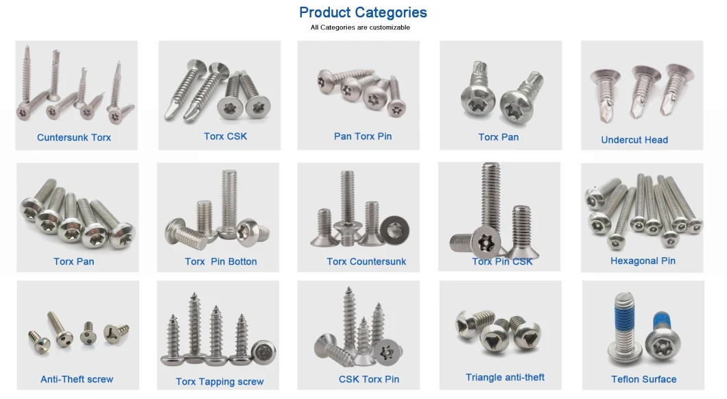 Duplex 2205 Fasteners Torx Pan Head Self Drilling Screw Anti-Theft Roofing Screw Tamper Proof Machine Screw Torx Tek Screws